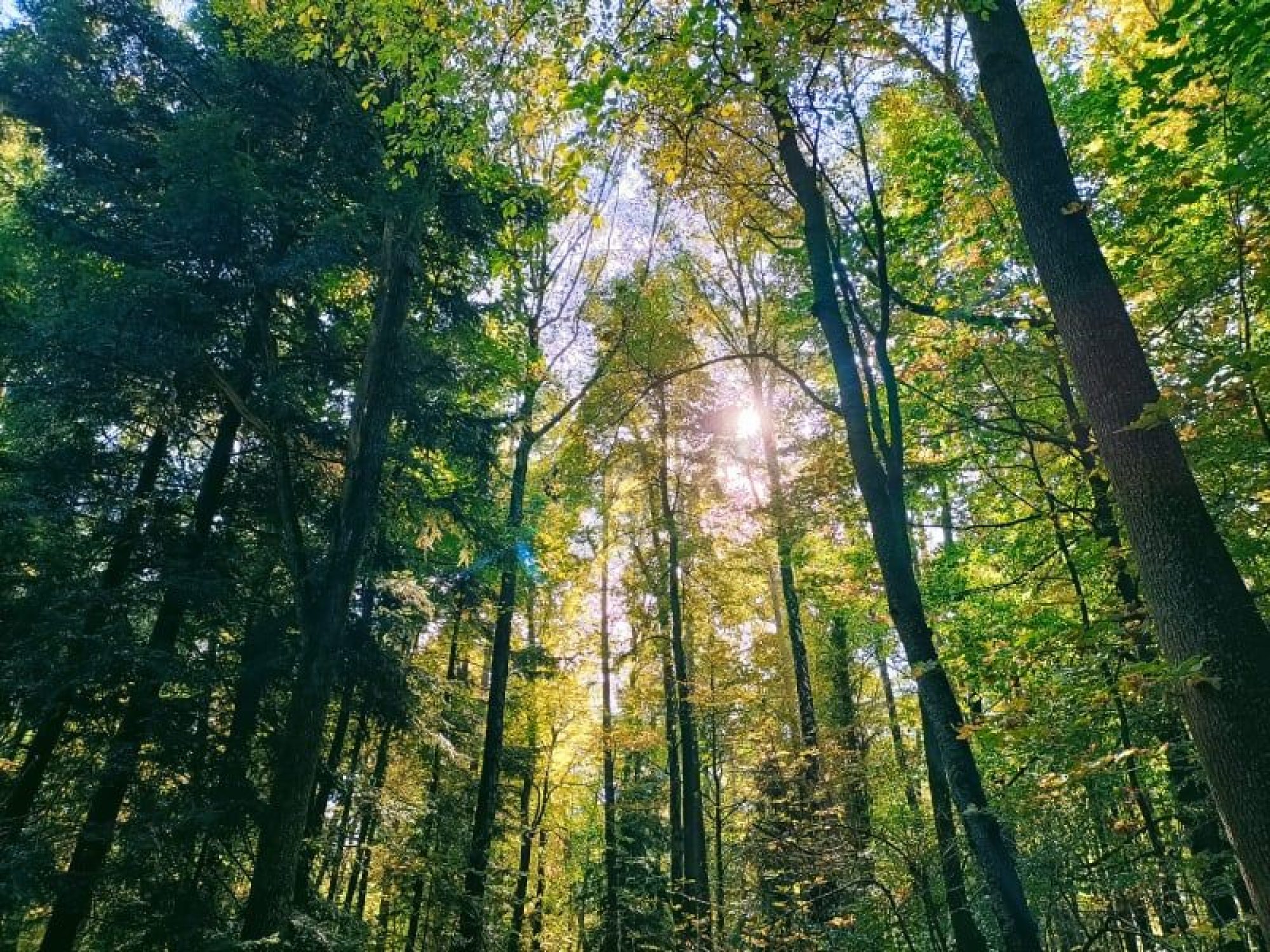 244355192_370621254769668_7844836933249038340_n